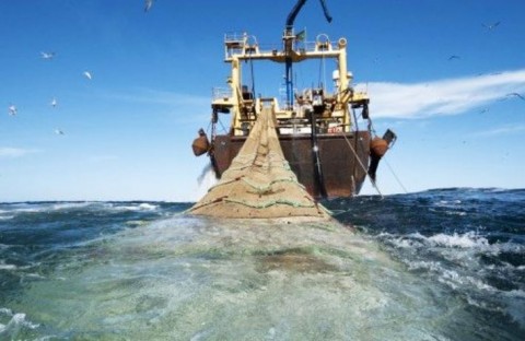 Ide Cantrang Tuai Pro-Kontra