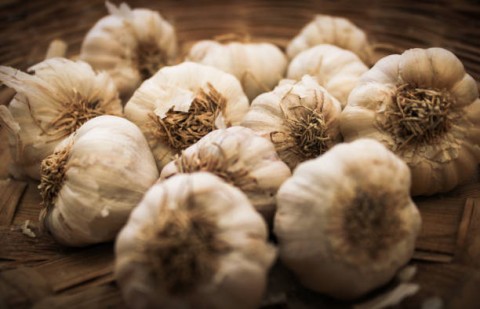 Bawang Putih yangSungguh Terabaikan