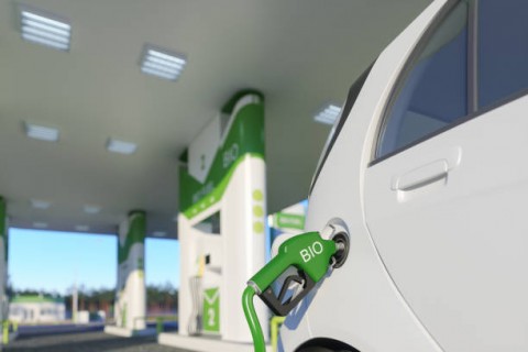 Anggaran Insentif Biodiesel B40 Terancam Seret