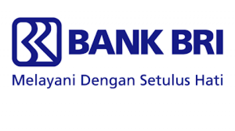 G20 SOE Conference: Profesor Harvard Apresiasi Peran BRI Tingkatkan Inklusif Keuangan di Indonesia