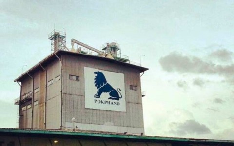 Harga Bahan Baku Lesu, Saham CPIN Melaju