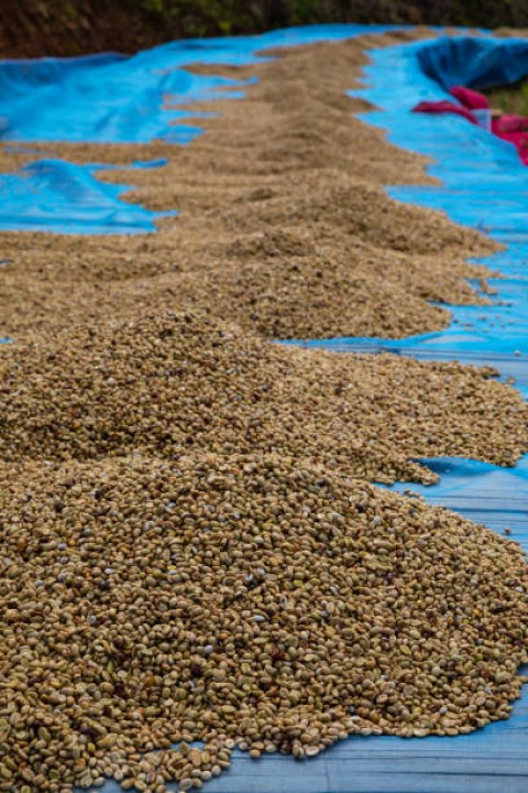 Mendorong UMKM MasukRantai Pasok Industri