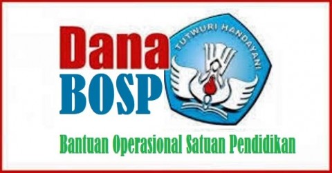 Pengurangan Dana BOSP untuk Honor Guru Honorer 