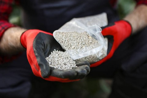 Anggaran Subsidi Pupuk Jadi 34 Triliun Tahun Ini