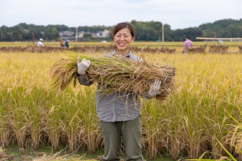 Ekspor Beras Digenjot Jepang sampai Tahun 2030