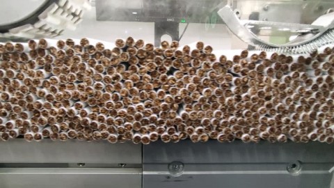 Cukai Eksesif Picu Banjir Rokok Ilegal yang Merugikan Industri