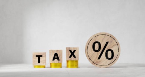 Pemerintah Dinilai Tak Tegas Soal  Urusan PPN 12%