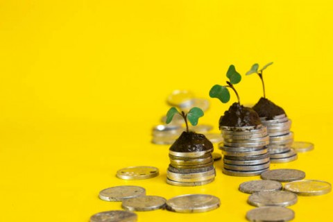 Indonesia Siap Tampung Investasi Asing 