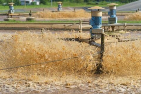 KKP Akan Bangun12 Proyek Tambak Udang