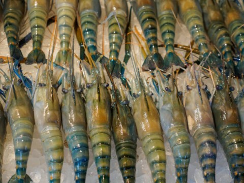 Laju Produksidan EksporUdang Melambat