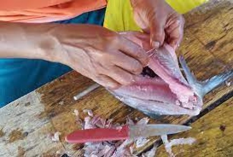 Ekonomi Sirkular di Kampung Bandeng