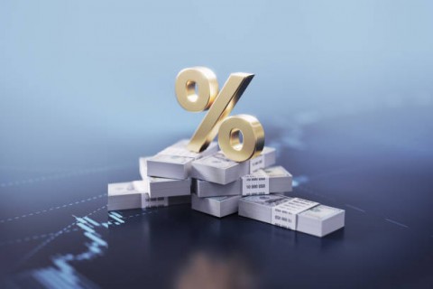 Naikkanlah Bunga Untuk Jaga  Rupiah