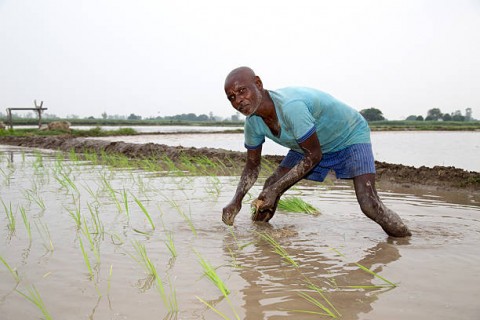 Memperbaiki Kehidupan Petani