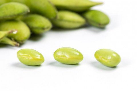 RENYAH KREASI OLAHAN EDAMAME JEMBER