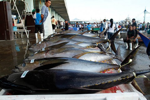 PERIKANAN, Pasar Ekspor Tertekan, Dorong Pasar Domestik