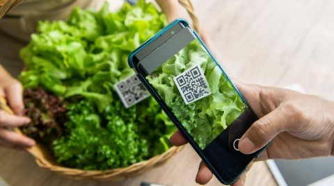 Program Petani Milenial Proses Dilakukan Bertahap