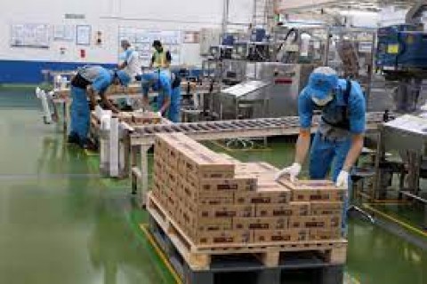 Mendorong Ekonomi dari Sektor Industri Pengolahan