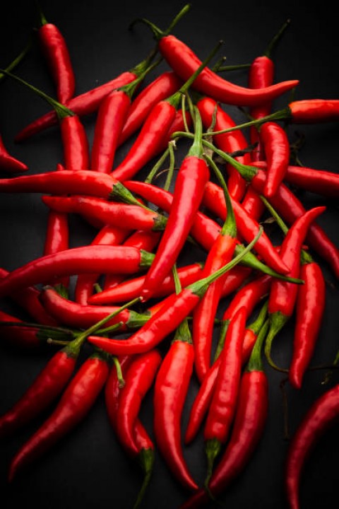 Harga Cabai Tembus Rp100.000 Per Kilogram