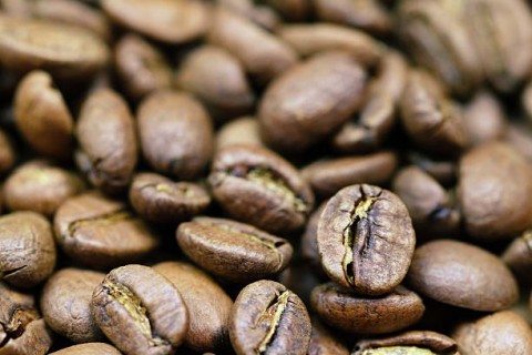 Produsen Terbesar, SumselDorong Kopi Mendunia