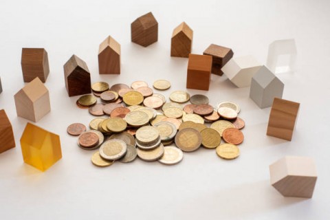 Dana Desa untuk Bencana