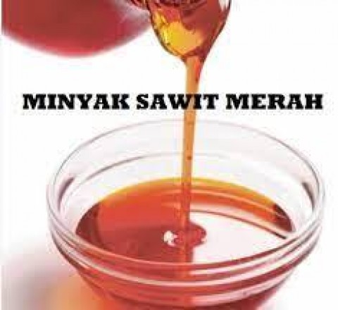 Hilirisasi Produk Sawit BerpotensiUngkit Nilai Tambah Petani