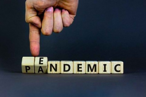 MEMBUKA PINTU ENDEMI