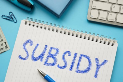 Reformasi Subsidi Energi