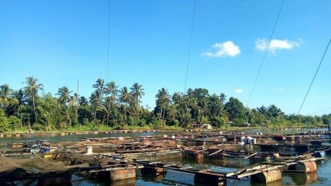 Kabupaten Pesisir Selatan, Potensi Besar Perikanan Darat