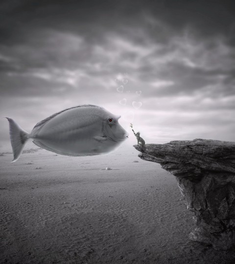 KKP Perkuat Sistem Ketertelusuran Industri Perikanan dengan Stelina