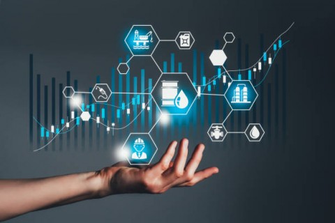 Platform Digital Didorong Optimalkan Penjualan Produk dari Dalam Negeri 