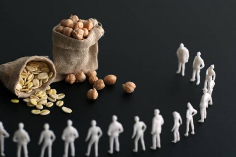 Indonesia Dorong G20 Sepakati Solusi Krisis Pangan