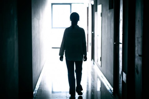 Siapakah Inisial T, Tokoh Dibalik Fenomena Judol