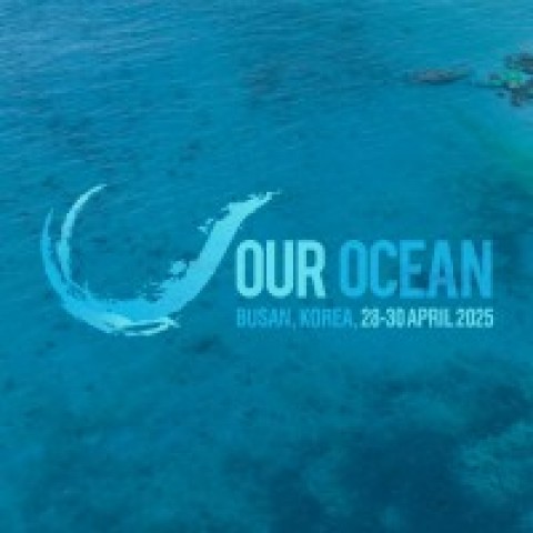 Semangat Optimistisme dari OOC