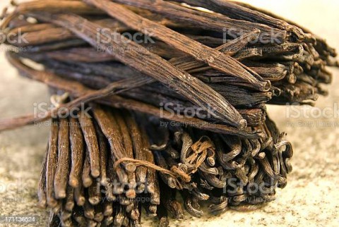 Komoditas Ekspor, Vanili Bisa Jadi Andalan NTB