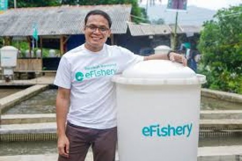 Skandal eFishery, Peringatan bagi Tata Kelola Startup