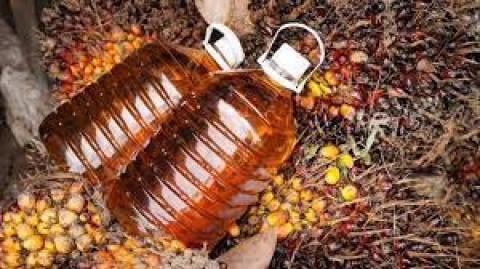 KEBIJAKAN TATA NIAGA MINYAK SAWIT : 23 PERUSAHAAN DIIZINKAN EKSPOR