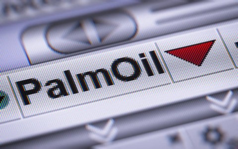 Akhir Kisah Durian Runtuh CPO