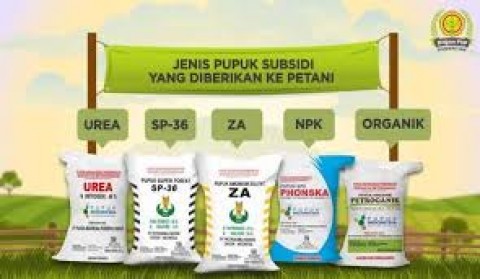 Petani Lebih Tenang karena Pupuk Bersubsidi Tersedia Cepat