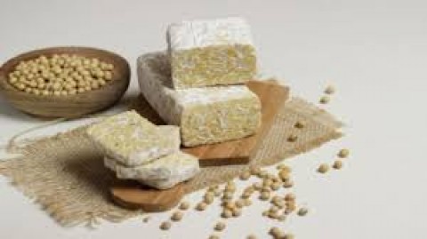 Sentra Produksi Tempe di Cipulir