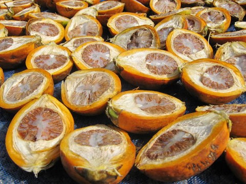 Pinang Lampung Diekspor ke Arab Saudi