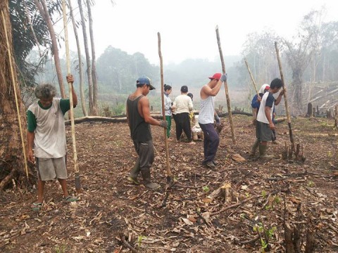 Manfaatkan KeberagamanSistem Pangan Lokal