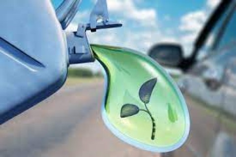 KERJA SAMA PROYEK BAHAN BAKAR HIJAU