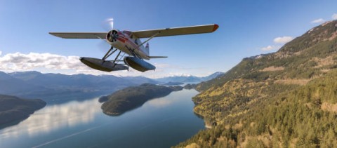 RI Kembangkan Industri Pesawat Amfibi