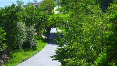 IKN Yang Semakin Ngawur