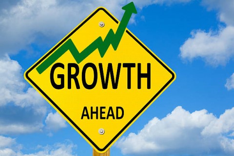 Pertumbuhan Ekonomi di Tengah Deindustrialisasi Prematur