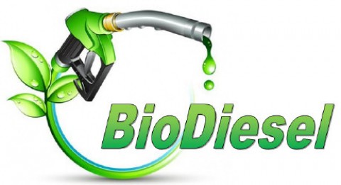 Membela Biodiesel