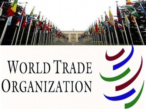 WTO dan Perdagangan Multilateral