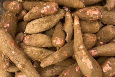 MSI Minta Singkong Tak Dikenai PPN 1,1%