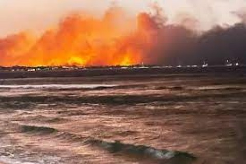 KEBAKARAN LAHAN, Duka Belum Hilang,Penjarah Datang