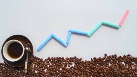 Panen Anjlok, Harga Kopi di Lampung Melambung